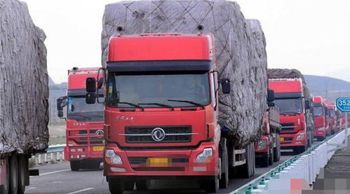 乐清柳市至大足区物流直达专线 德宇包装货运的专业服务与司机角色解析