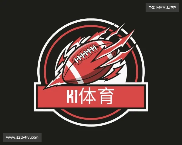 了解K1体育